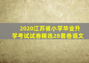 2020江苏省小学毕业升学考试试卷精选28套卷语文