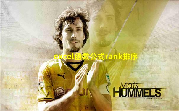 excel函数公式rank排序