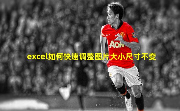 excel如何快速调整图片大小尺寸不变
