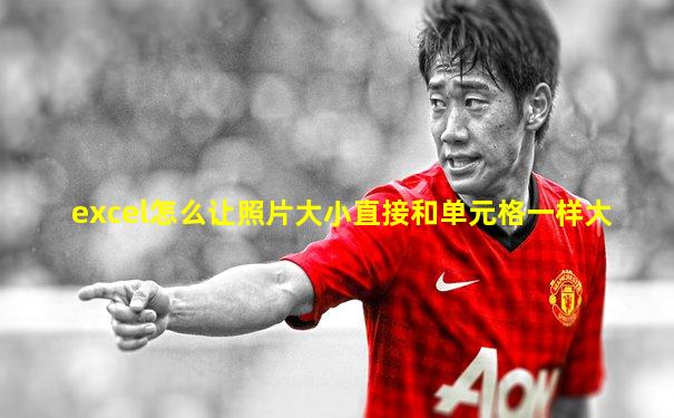 excel怎么让照片大小直接和单元格一样大
