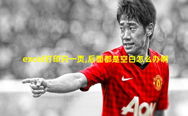 excel打印只一页,后面都是空白怎么办啊