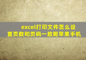 excel打印文件怎么设置页数和页码一致呢苹果手机