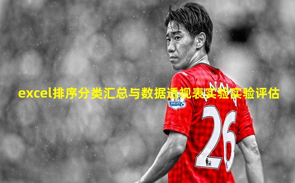 excel排序分类汇总与数据透视表实验实验评估