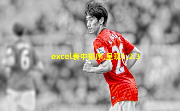 excel表中排序,呈现1.2.3