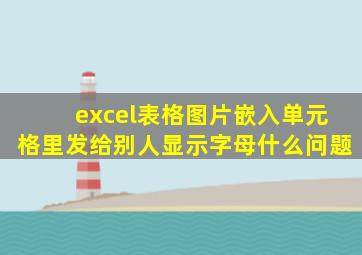 excel表格图片嵌入单元格里发给别人显示字母什么问题