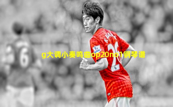 g大调小奏鸣曲op20no1钢琴谱