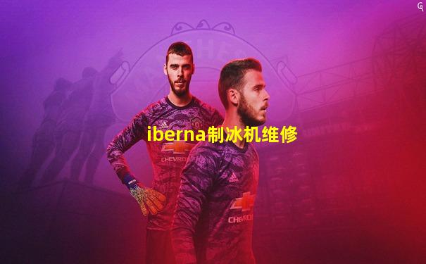 iberna制冰机维修