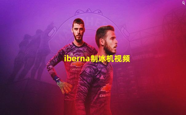 iberna制冰机视频
