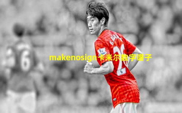 makenosign卡米尔数字谱子
