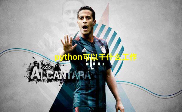 python可以干什么工作