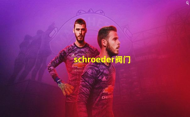 schroeder阀门