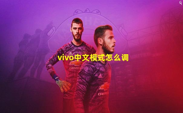 vivo中文模式怎么调