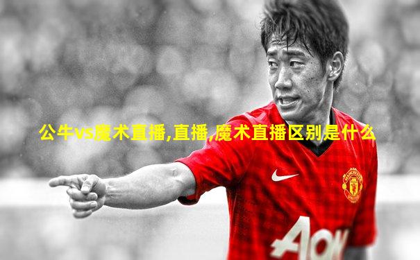 公牛vs魔术直播,直播,魔术直播区别是什么