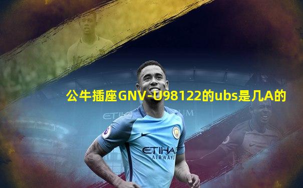 公牛插座GNV-U98122的ubs是几A的