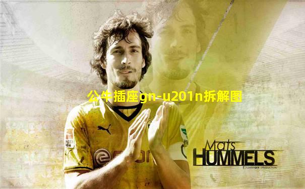 公牛插座gn-u201n拆解图