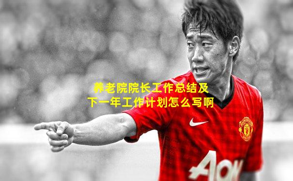 养老院院长工作总结及下一年工作计划怎么写啊