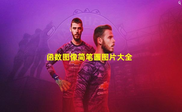 函数图像简笔画图片大全