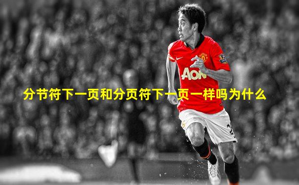 分节符下一页和分页符下一页一样吗为什么