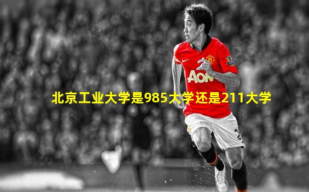 北京工业大学是985大学还是211大学