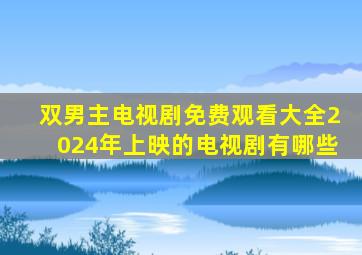 双男主电视剧免费观看大全2024年上映的电视剧有哪些
