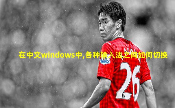 在中文windows中,各种输入法之间如何切换