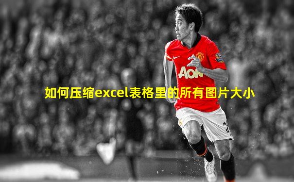 如何压缩excel表格里的所有图片大小