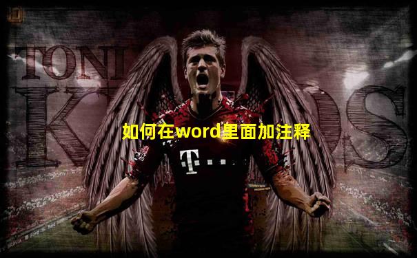 如何在word里面加注释