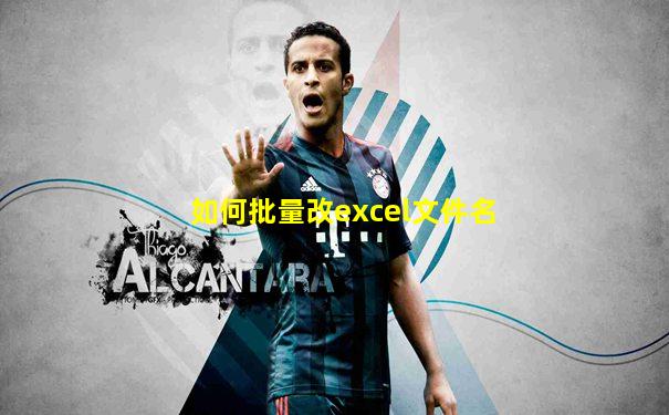 如何批量改excel文件名