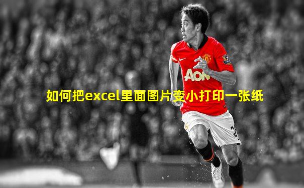 如何把excel里面图片变小打印一张纸