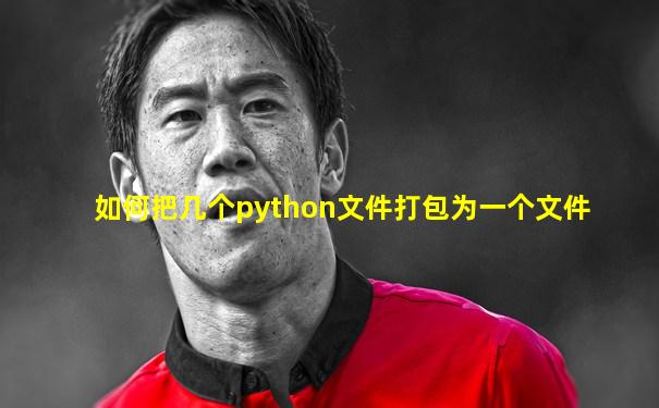 如何把几个python文件打包为一个文件
