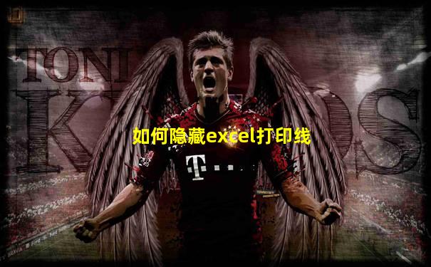 如何隐藏excel打印线