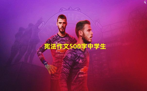 宪法作文500字中学生