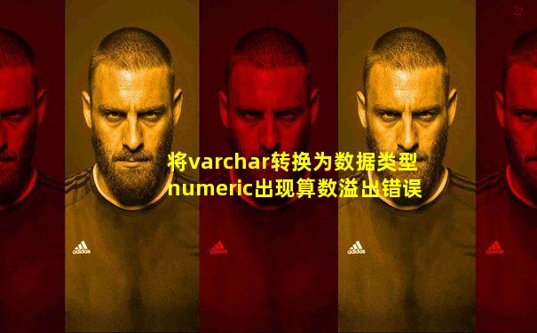 将varchar转换为数据类型numeric出现算数溢出错误
