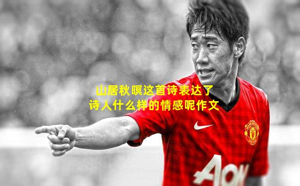 山居秋暝这首诗表达了诗人什么样的情感呢作文