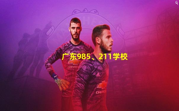 广东985、211学校