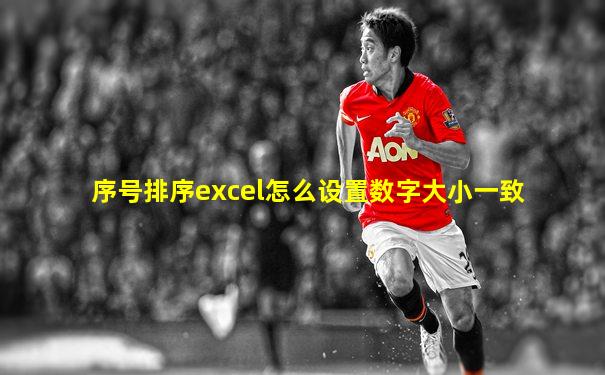 序号排序excel怎么设置数字大小一致
