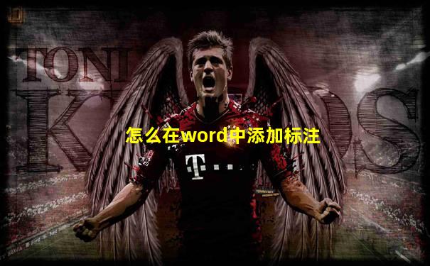 怎么在word中添加标注