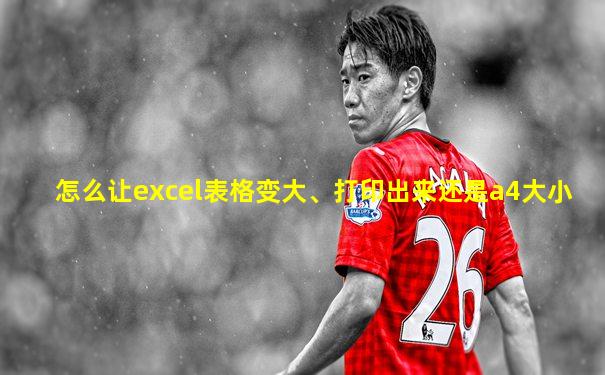 怎么让excel表格变大、打印出来还是a4大小