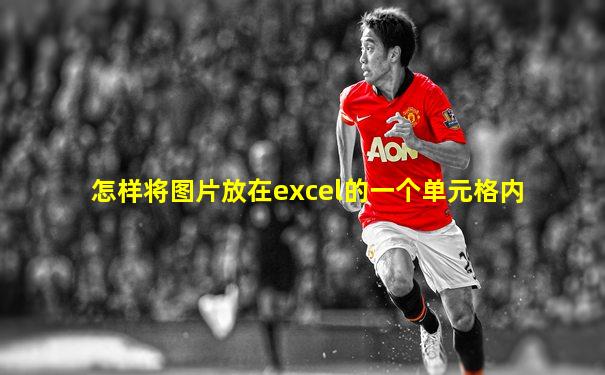 怎样将图片放在excel的一个单元格内