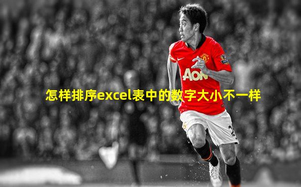 怎样排序excel表中的数字大小不一样