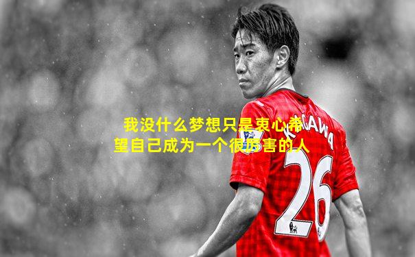 我没什么梦想只是衷心希望自己成为一个很厉害的人