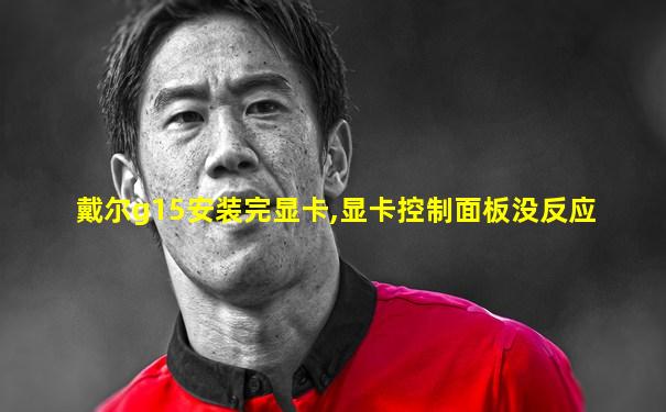 戴尔g15安装完显卡,显卡控制面板没反应
