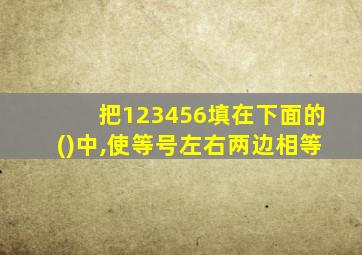 把123456填在下面的()中,使等号左右两边相等