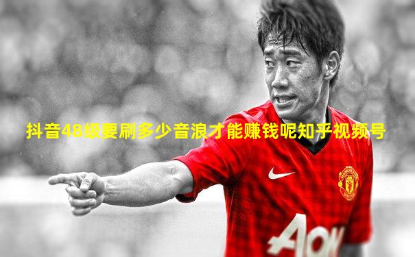 抖音48级要刷多少音浪才能赚钱呢知乎视频号