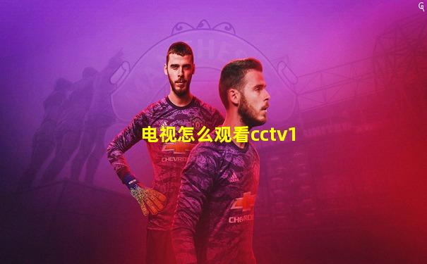 电视怎么观看cctv1