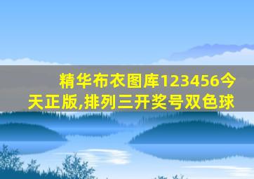 精华布衣图库123456今天正版,排列三开奖号双色球