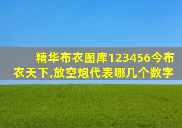 精华布衣图库123456今布衣天下,放空炮代表哪几个数字