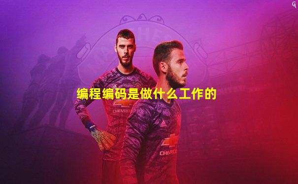 编程编码是做什么工作的