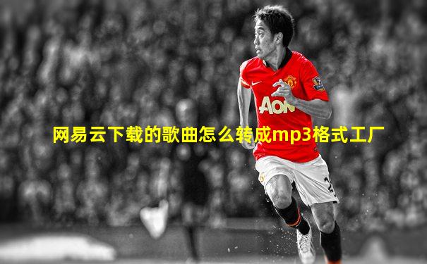 网易云下载的歌曲怎么转成mp3格式工厂