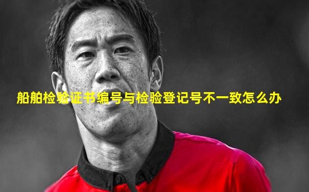 船舶检验证书编号与检验登记号不一致怎么办